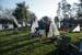 jax regatta _sat05