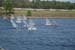 jax regatta _sat40